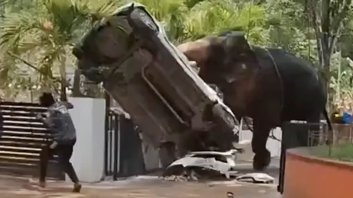 Terrifying moment elephant goes on rampage as it gores lorry driver to death and trashes cars in Indian temple attack