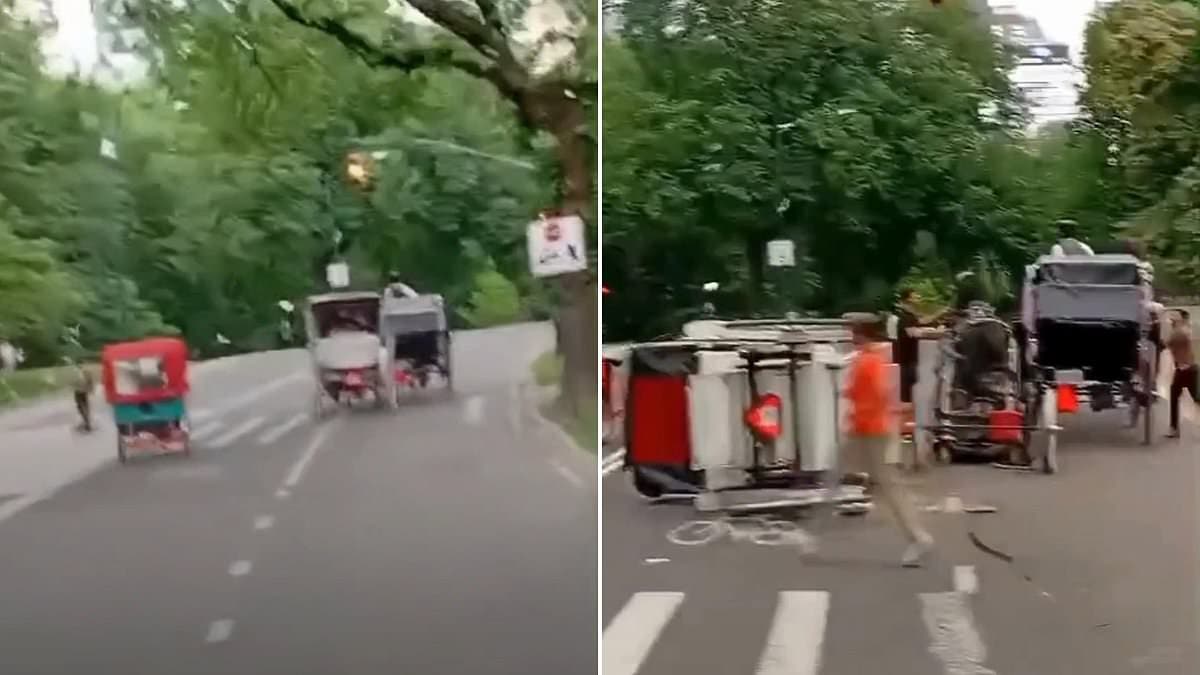 Teenager killed when horse drawn carriage flips over in Central Park