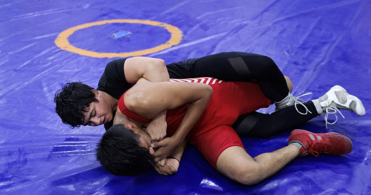 Delhi HC To Review WFI Policy In Vinesh Phogat Case