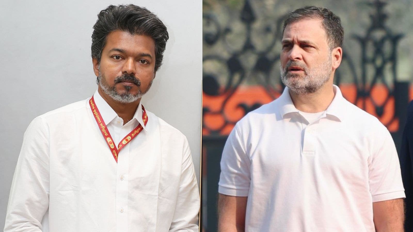 How Vijay, Rahul Gandhi chemistry over 17 years proved glue for TVK, Congress alliance
