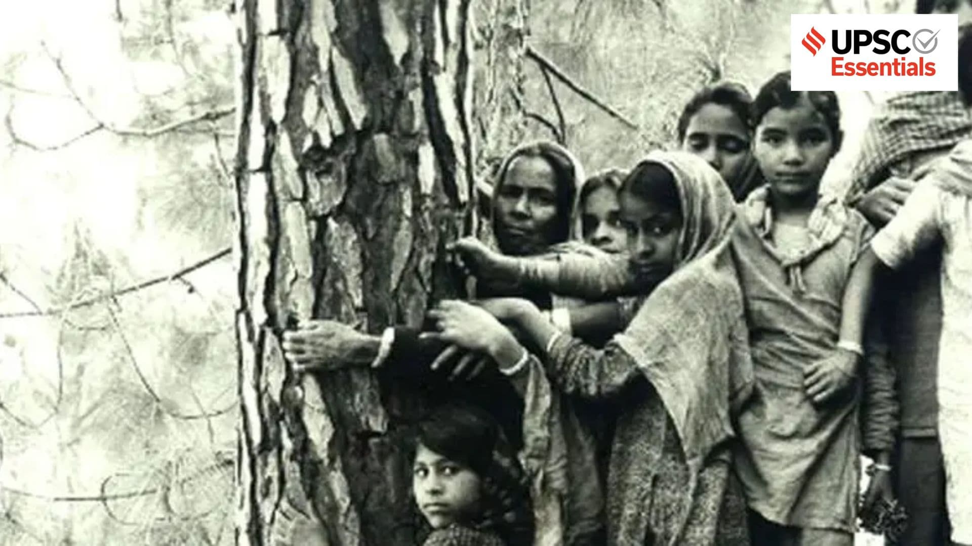 Why women are the key stakeholders in environmental governance