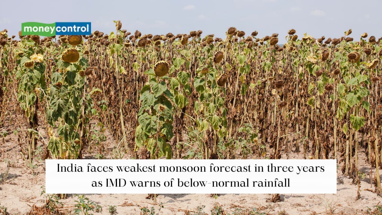 India faces weakest monsoon forecast in three years as IMD warns of below - normal rainfall