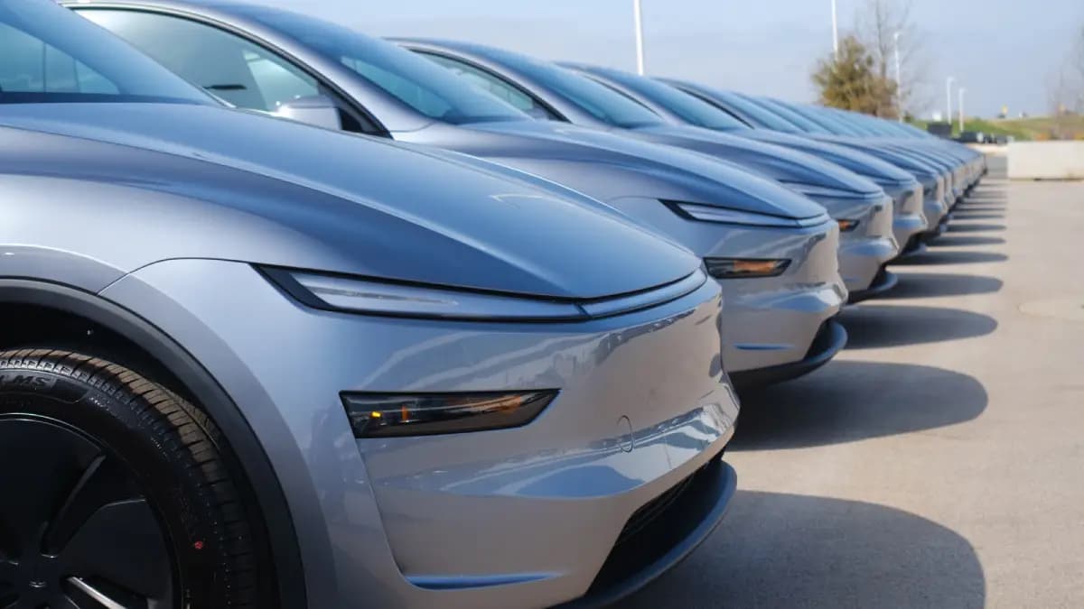 Tesla Model Y Premium To Hit Indian Roads
