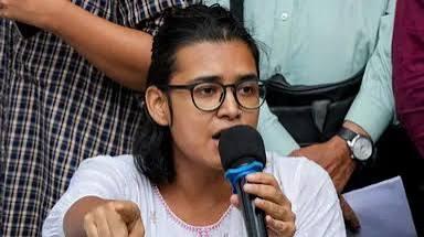 तिरंगा फडकवायला परवानगीची गरज नाही, नेहा बोरा यांचे दिल्ली उच्च न्यायालयात प्रतिपादन