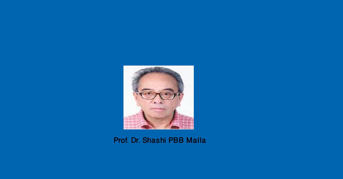 Nepalese Economic Diplomacy: A Priority