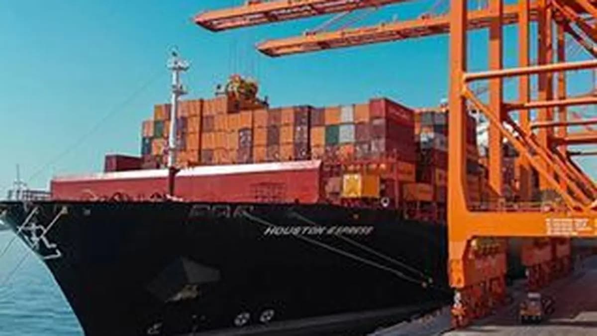 India - Oman CEPA takes effect : 98 % duty - free access opens doors for textiles , pharma , MSMEs : Piyush Goyal