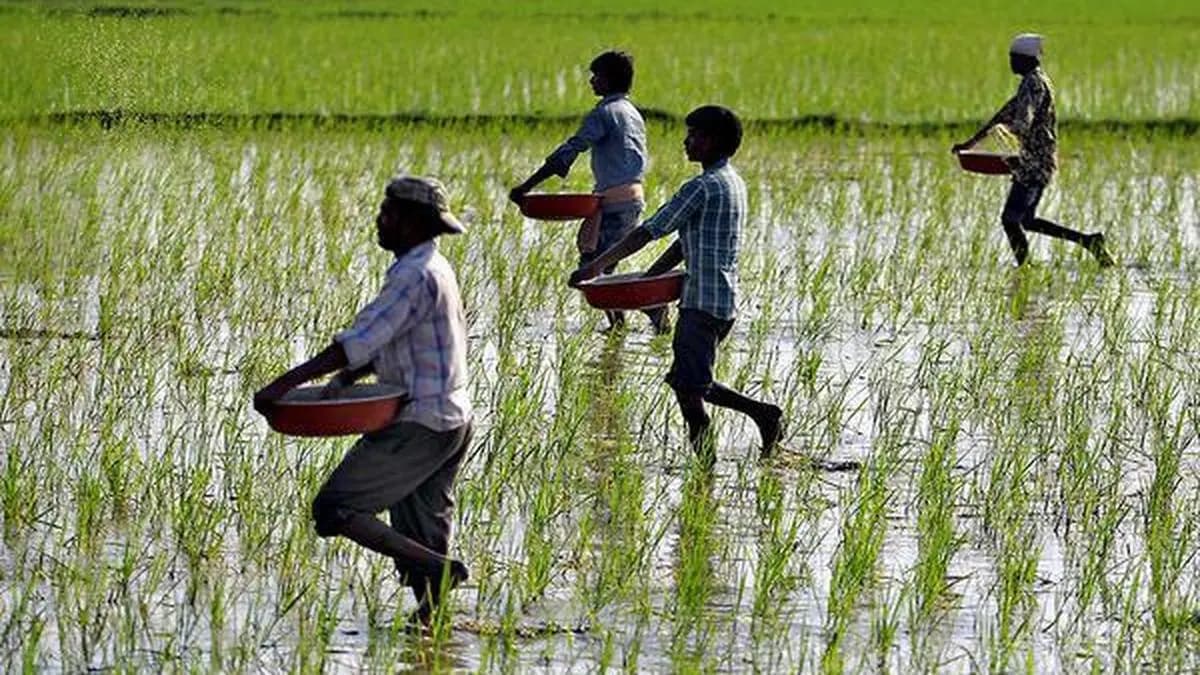 The new wealth of nations: Why farmer health capital is the next global economic frontier
