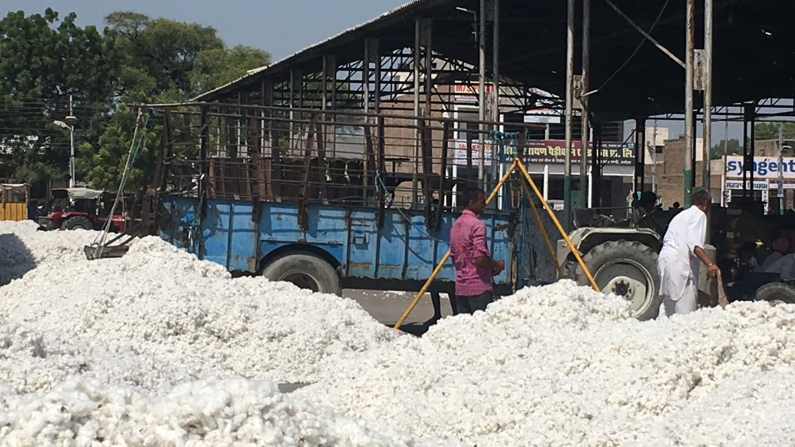 West Asia crisis : Govt waives import duty on cotton till October 30