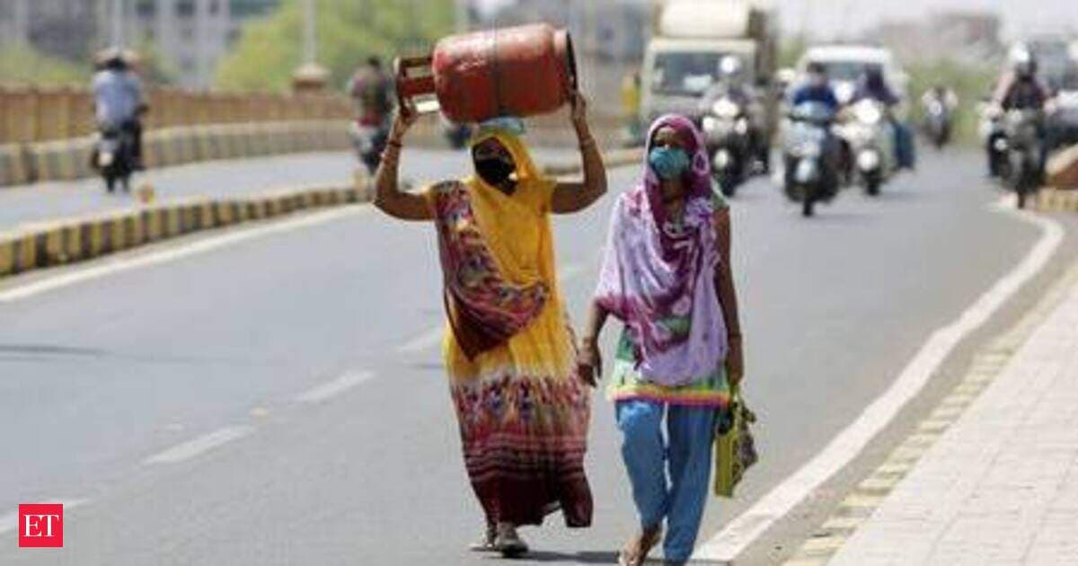India's indigenous cooking gas alternative takes shape in Pune lab
