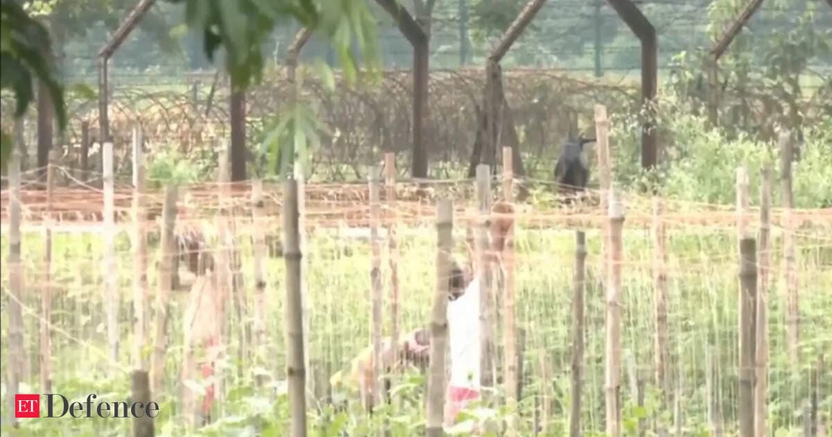 Fencing work begins along India-Bangladesh border in Bengal after BSF gets 27-km land parcel