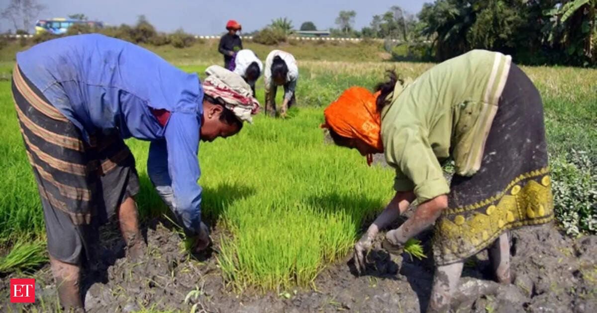 Govt readies contingency plans to counter El Nino threat to kharif season: Shivraj Singh Chouhan
