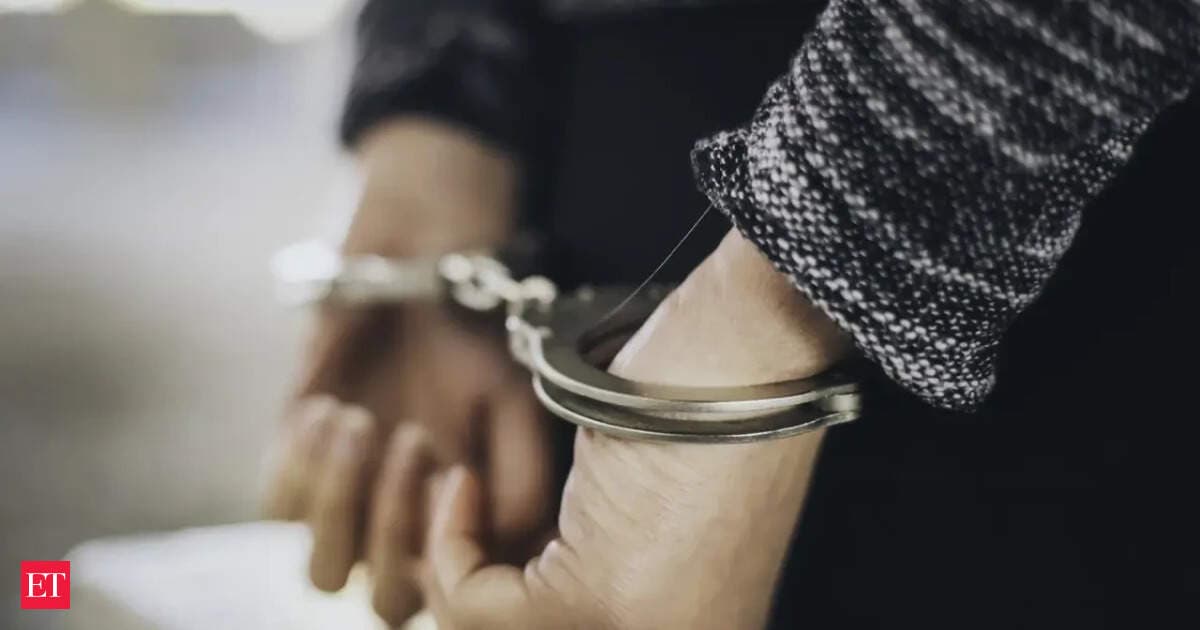 Tripura arrests 3,705 illegal migrants since 2022; 3,463 are Bangladeshis