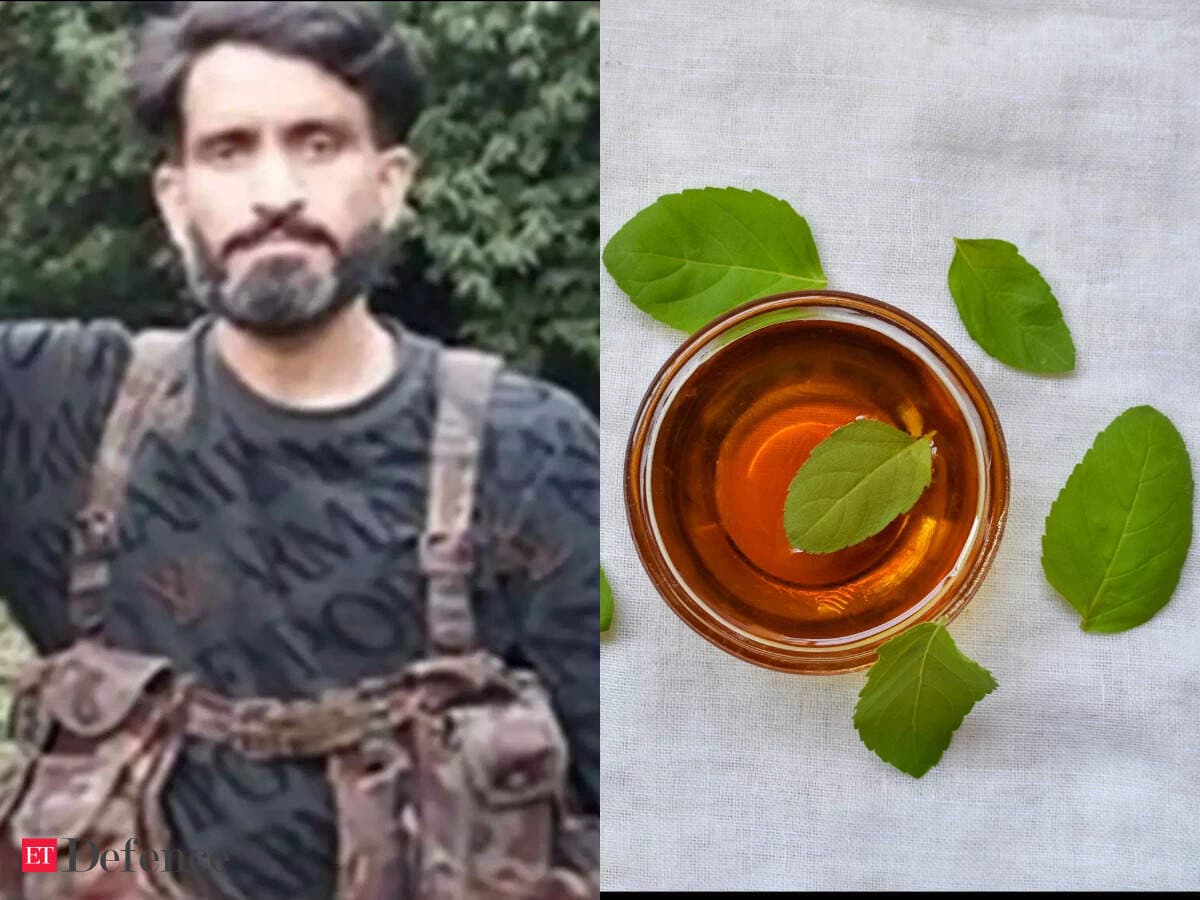 Top Pakistani terrorist 'Hashim Moosa' used Ayurvedic honey remedy to heal bullet wounds in jungle hideout