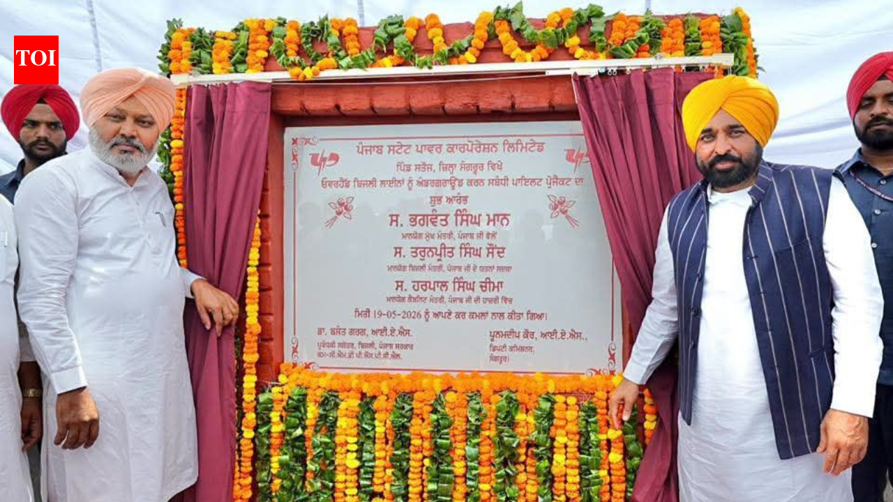 Underground electricity wiring project launched on pilot basis in CM Mann's native village