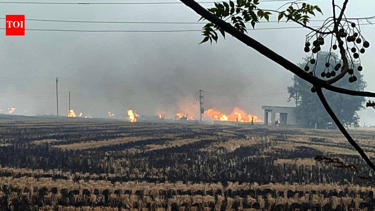 One new case, Punjab now accounts for nearly 36% of total farm fires