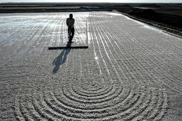 No trees, no fans: surviving extreme heat in India’s salt pans