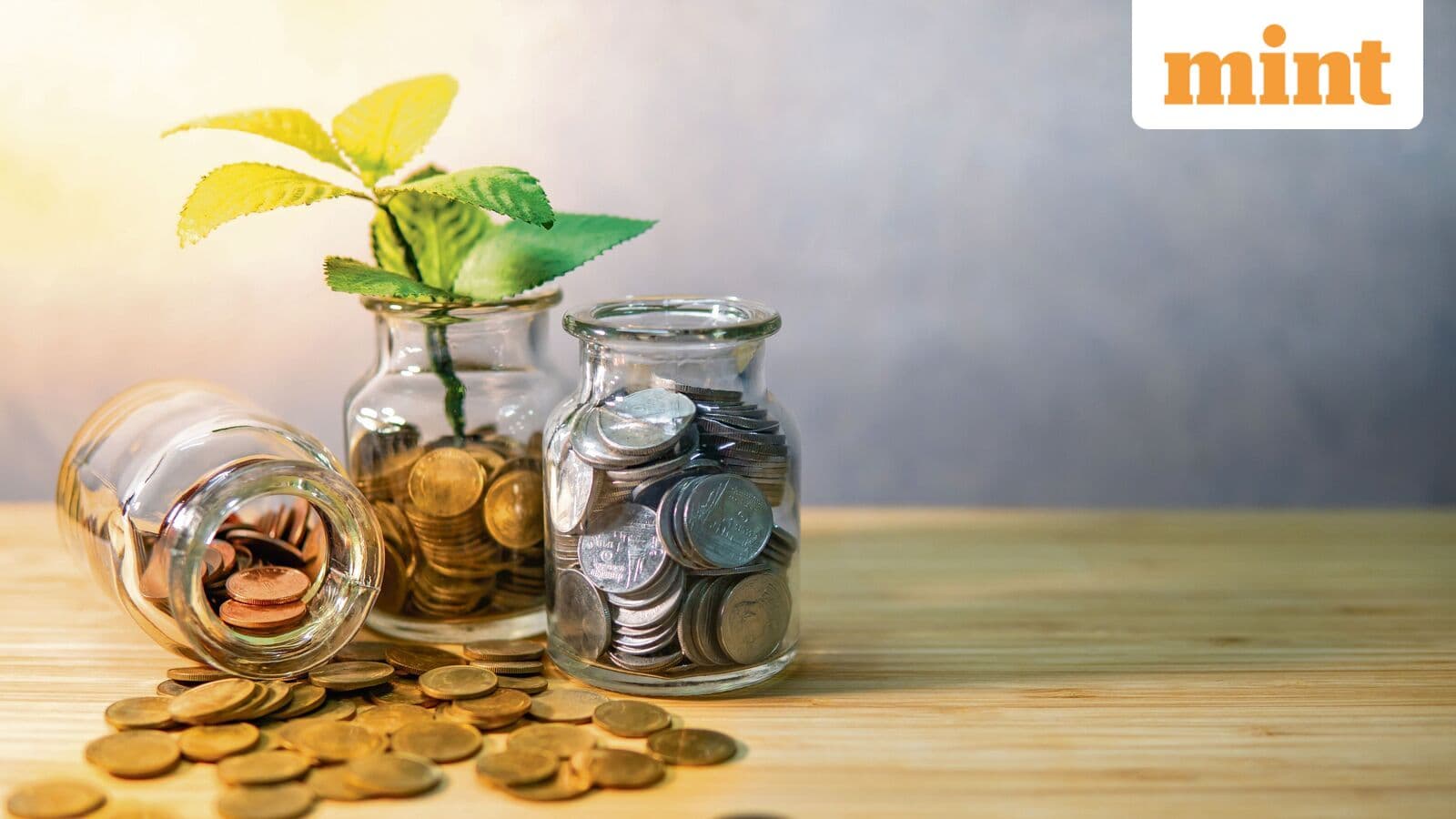 SCSS account rules: Who can invest, how much interest you get and what tax applies