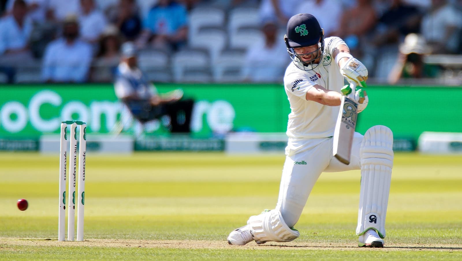 Ireland name squad for test match with New Zealand